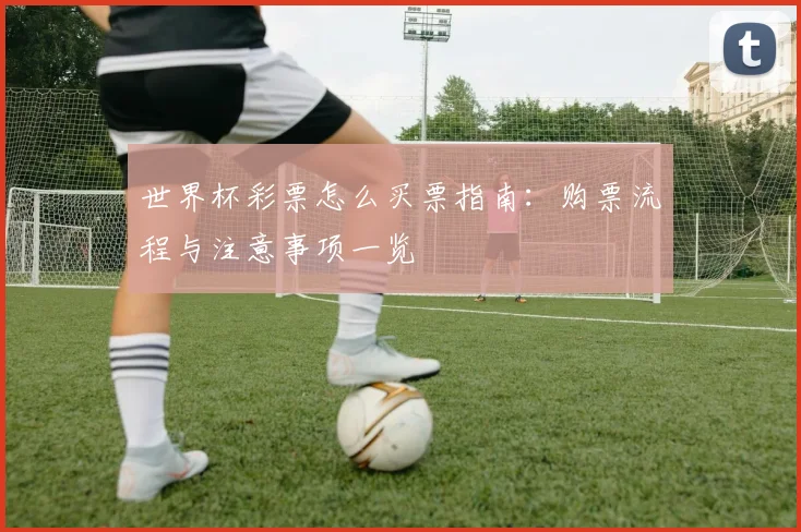 世界杯彩票怎么买票指南：购票流程与注意事项一览