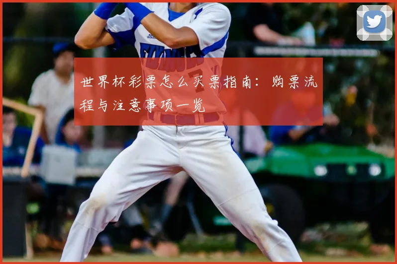世界杯彩票怎么买票指南：购票流程与注意事项一览